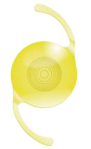 クラレオン ビビティ　Clareon Vivity